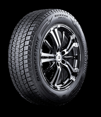 BRIDGESTONE Bridgest DM-V3